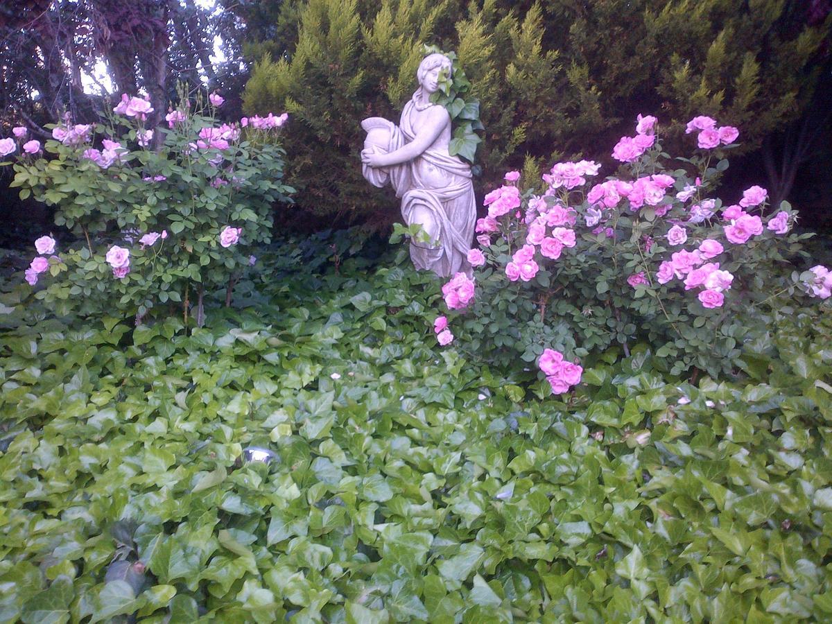Giardino A 194 Bed & Breakfast Welkom Exterior photo
